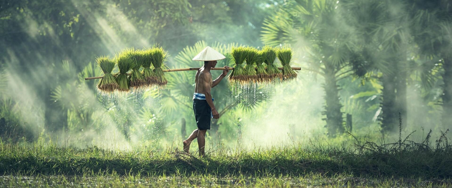 Farmer in rural area of Muang Sing, Laos